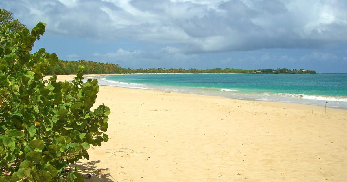     Tempête Dorian : pas de nouvelle analyse des plages de Sainte-Anne avant jeudi

