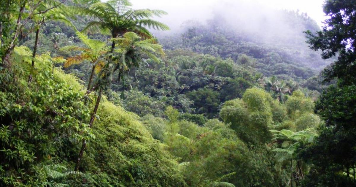     Parc National : les aires de pique-nique fermées entre 11h30 et 14h30  

