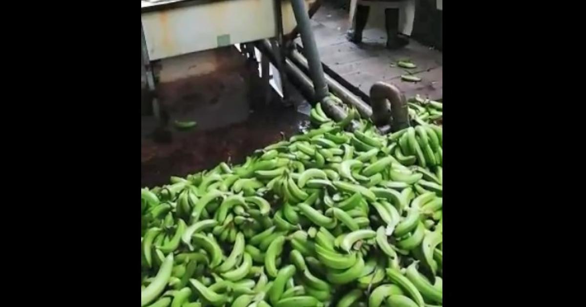     Les salariés de l'habitation Figo à Sainte-Marie mobilisés ce jeudi matin

