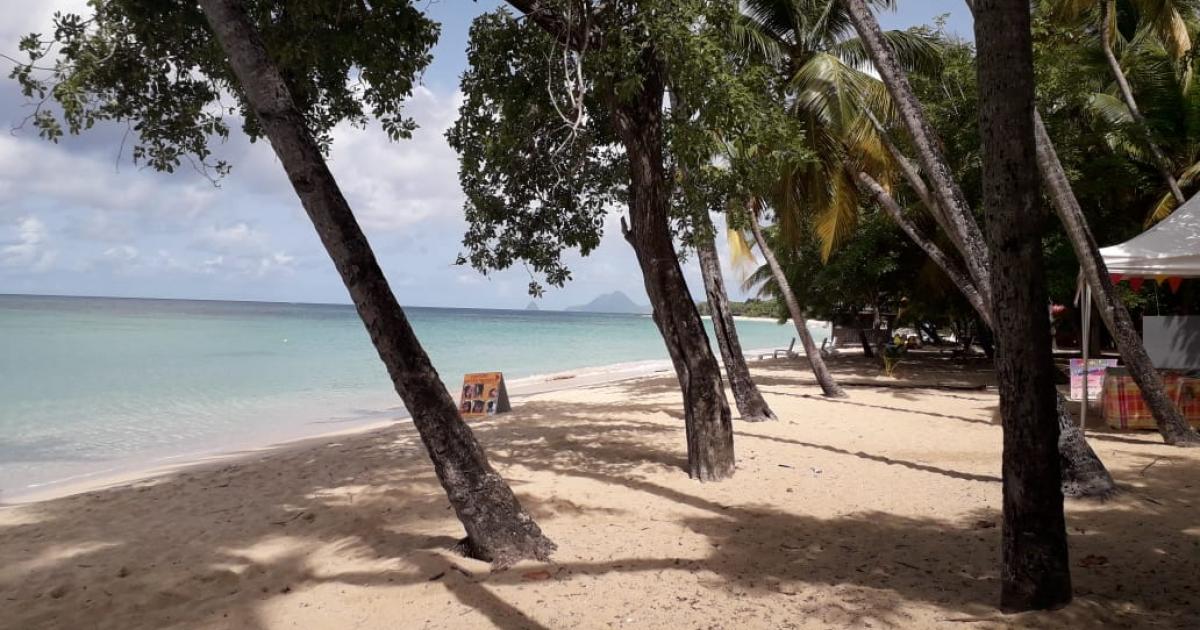     Plusieurs plages de Sainte Anne interdites à la baignade

