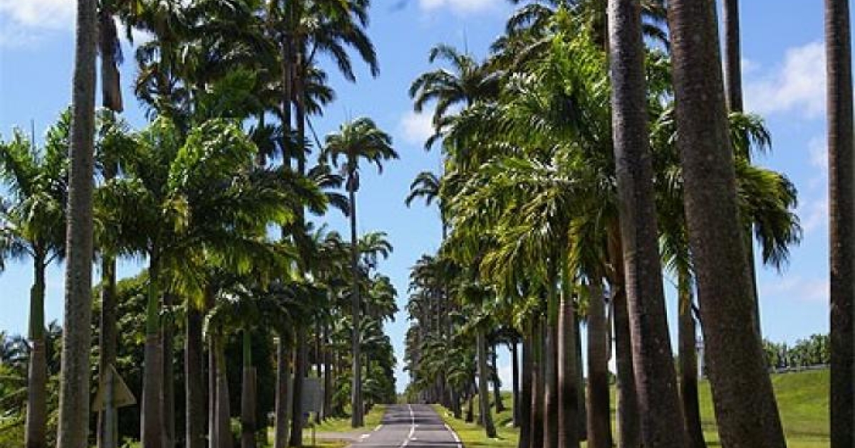     [EAU SECOURS] Capesterre-Belle-Eau ne sort pas des difficultés d'approvisionnement en eau potable

