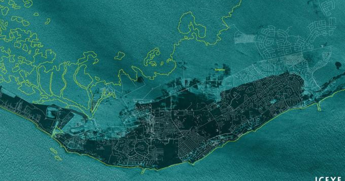 Scientists discovered traces of cocaine in the blood of sharks in the Bahamas.