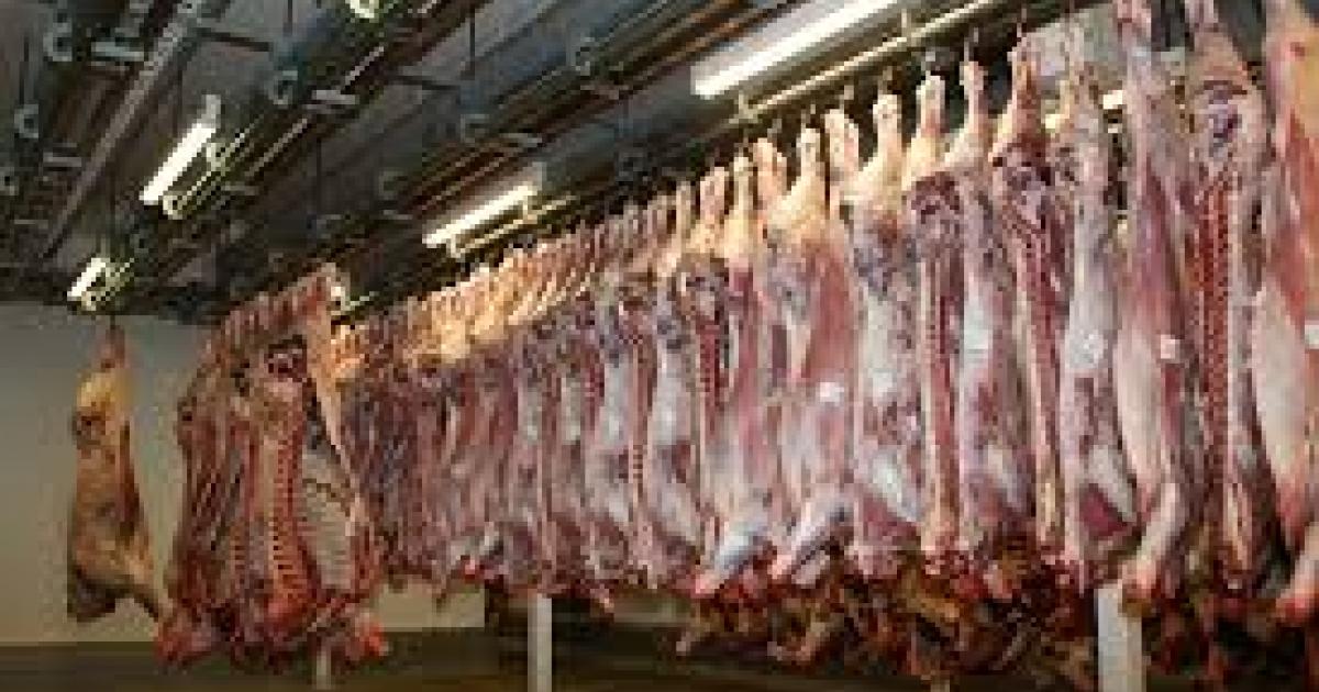     La filière viande veut relancer l’abattage à Marie-Galante

