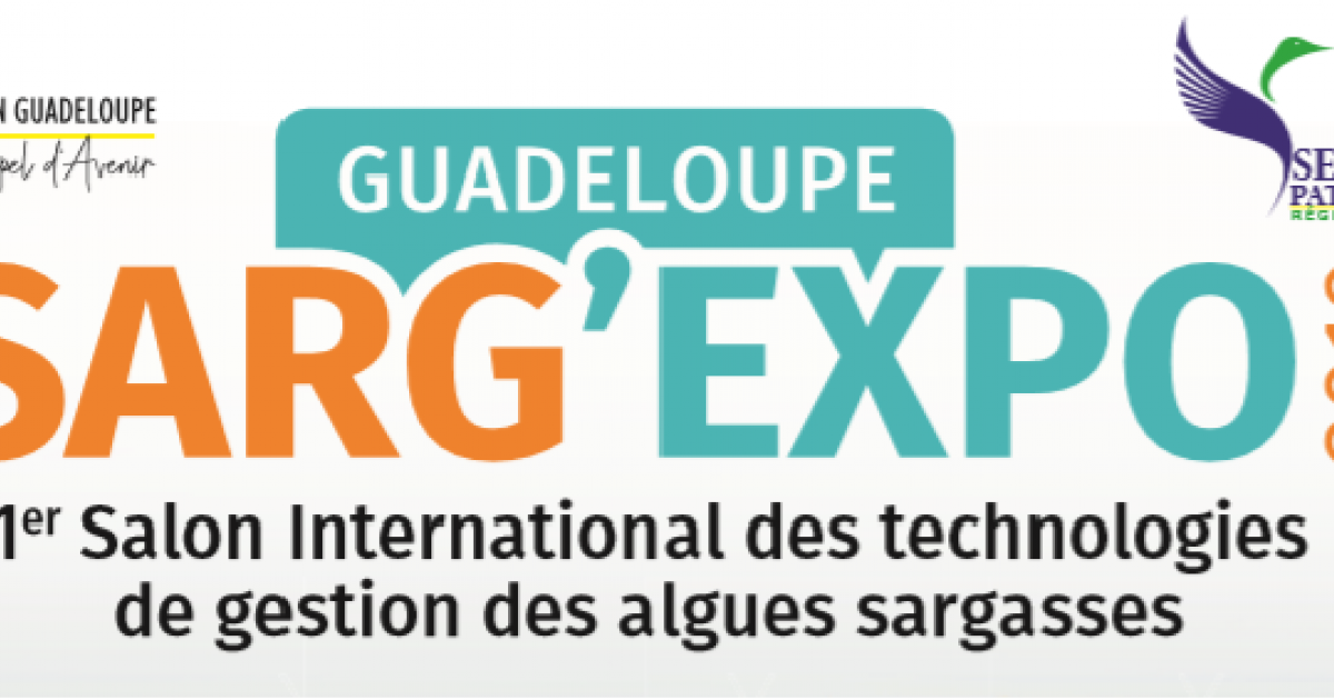     SARG'EXPO : une conférence internationale sargasses en Guadeloupe

