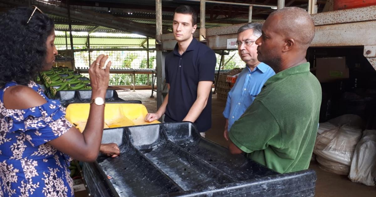     Une délégation d'élus du Rassemblement National en Martinique

