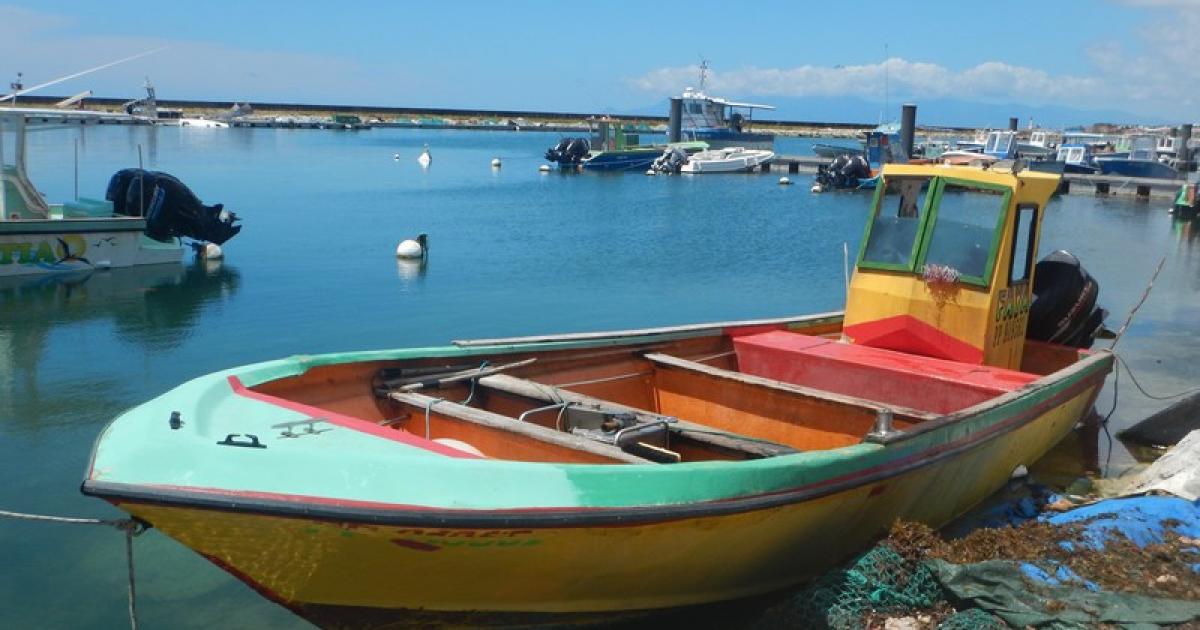     Les marins pêcheurs de Guadeloupe appelés aux urnes

