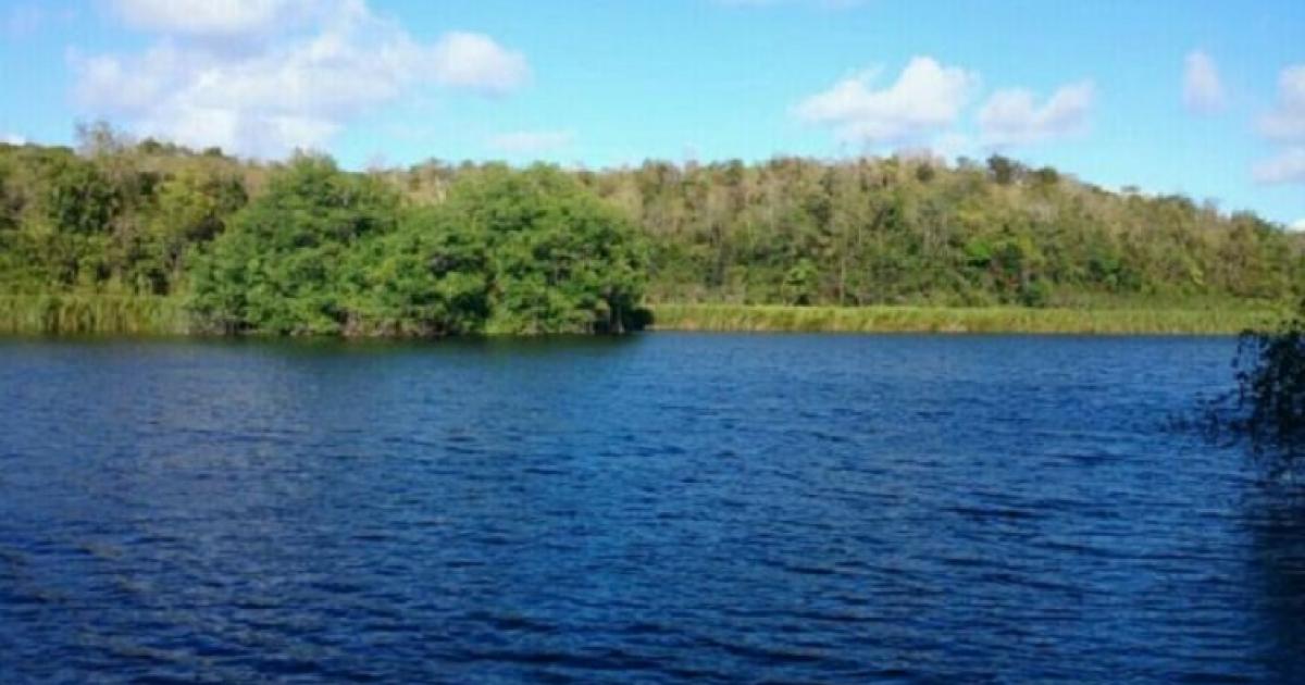     Partez en balade dans la mangrove de Vieux-Fort à Saint-Louis de Marie-Galante

