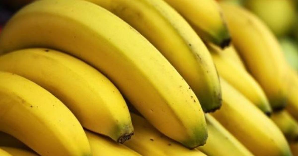     Chlordécone : un ancien planteur de banane estime que ce sont les fabricants qui sont responsables

