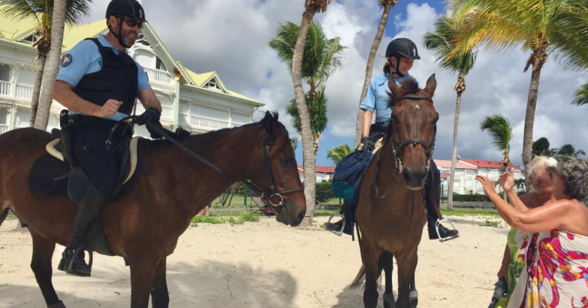     Les gendarmes se remettent en selle

