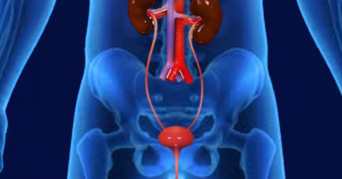     Un test urinaire pour détecter le cancer de la prostate 

