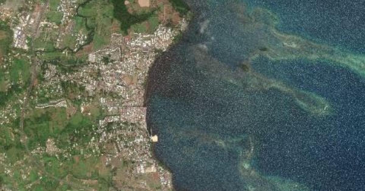     Découverte macabre sur le littoral de Petit-Bourg

