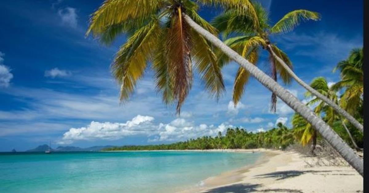     Les plages de Sainte-Anne ouvriront à partir de ce mardi

