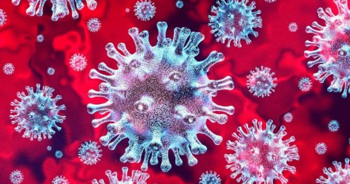     Coronavirus : 3 nouveaux cas en Guadeloupe

