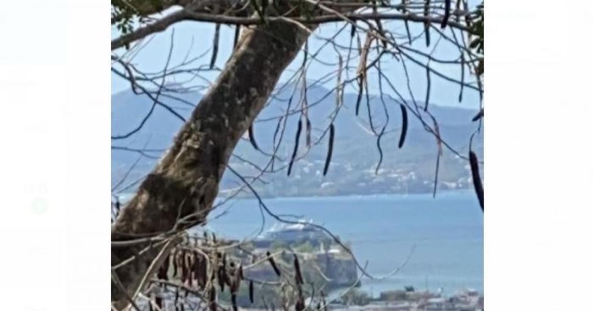     Le Dumont d'Urville et le Champlain en escale technique au port de Fort-de-France

