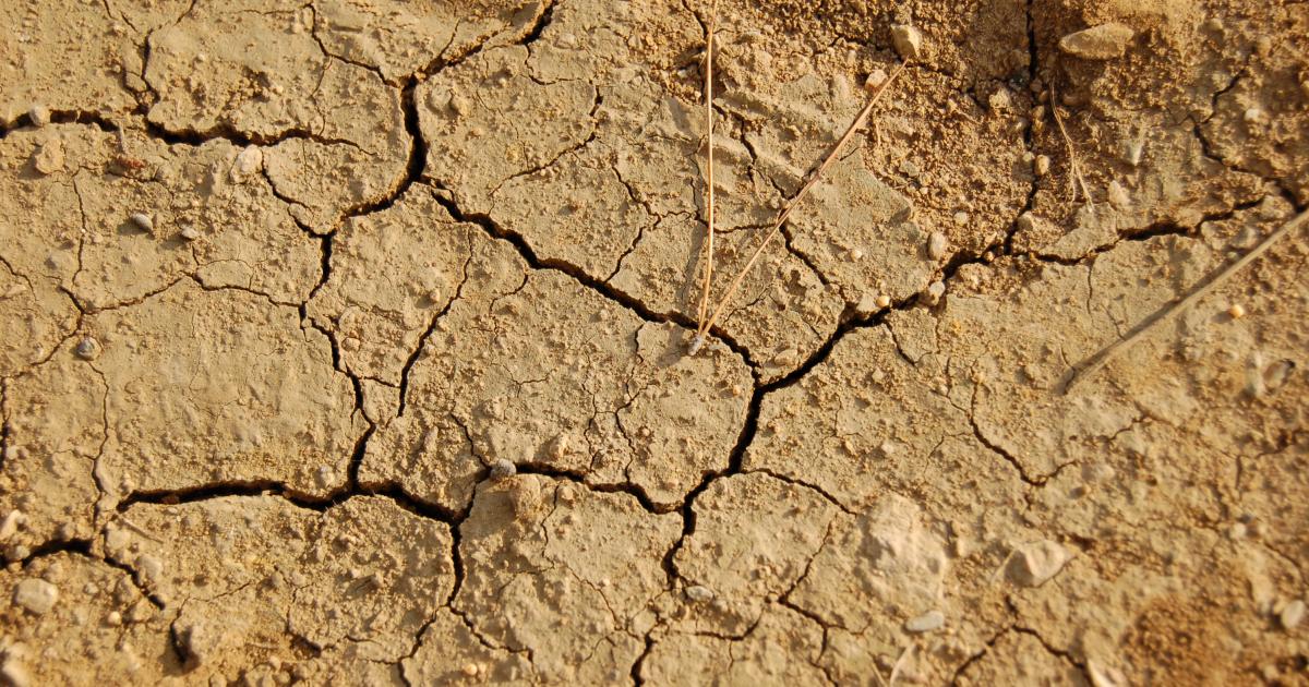     Sécheresse : un arrêté préfectoral limite l'usage de l'eau

