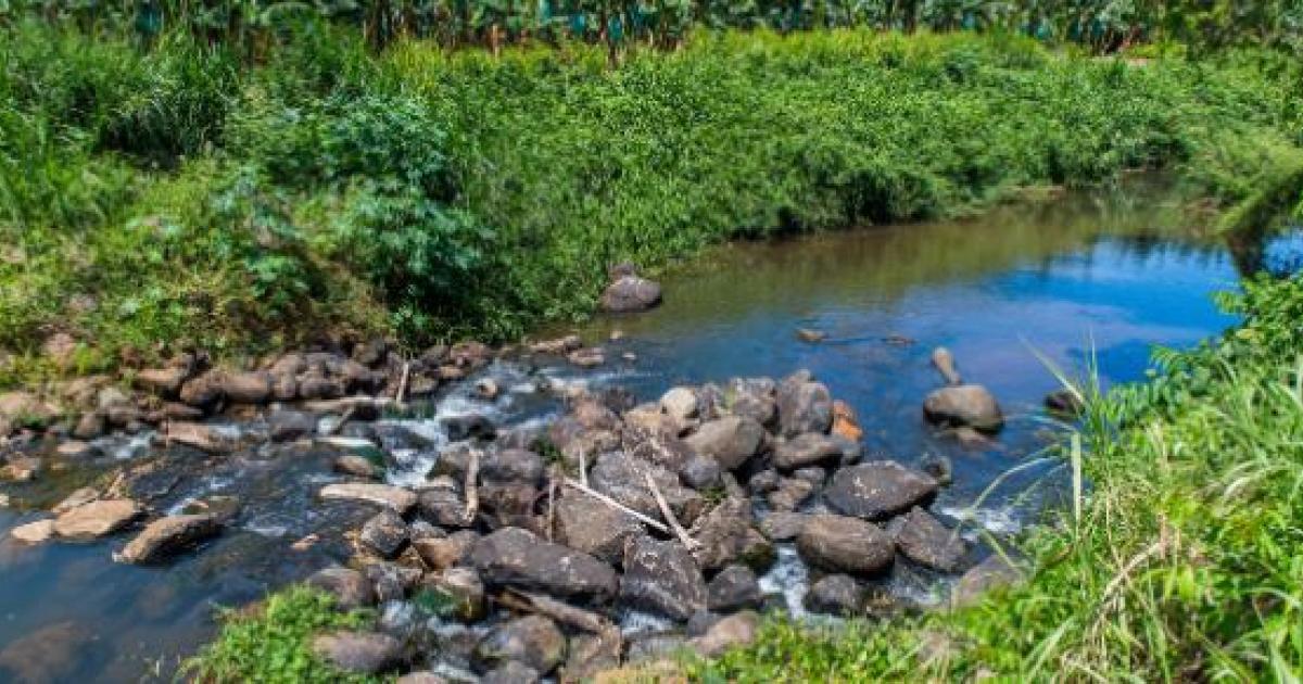     Au Gros-Morne, où les rivières sont au plus bas, le maire alerte la population

