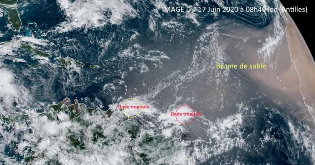     De la brume de sable et une onde tropicale concerneront la Martinique ce week-end

