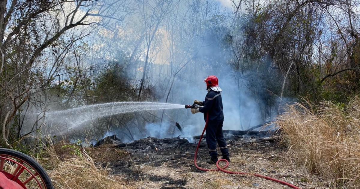     Feu de broussailles au quartier la Cherry au Diamant

