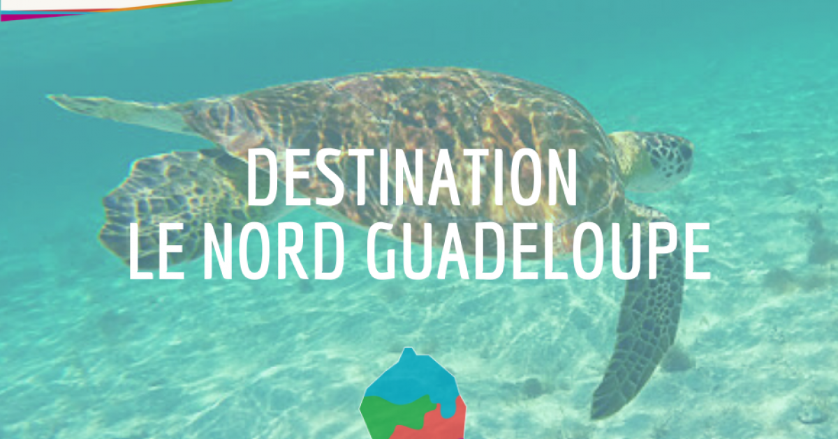     Le Nord Grande-Terre se lance dans le tourisme insolite 

