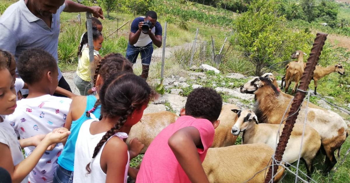     A la découverte du monde de la ferme

