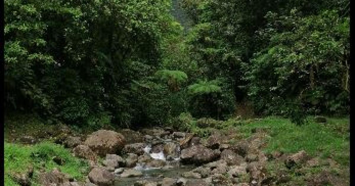     Le randonneur disparu à l'Alma a été retrouvé par son père

