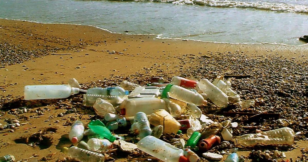     Beach Party : l'ONF porte plainte pour abandon de déchets 

