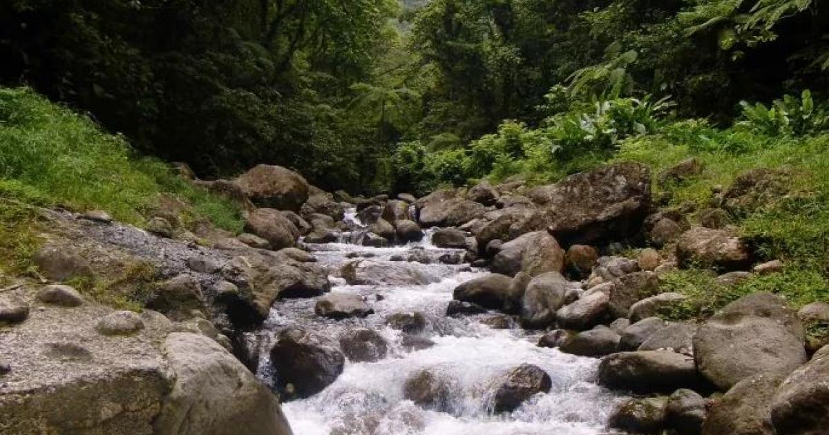     Sécheresse : la Martinique n'est plus en alerte

