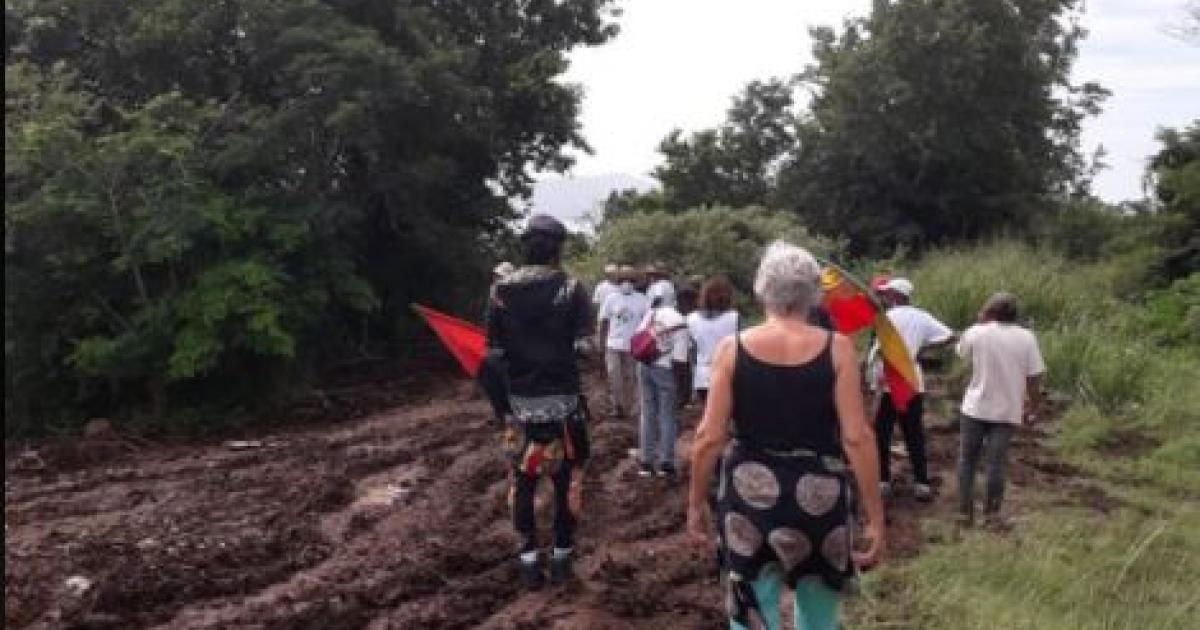     Alertée par l'Assaupamar, l'ONF confirme les excès du promoteur immobilier de Terreville

