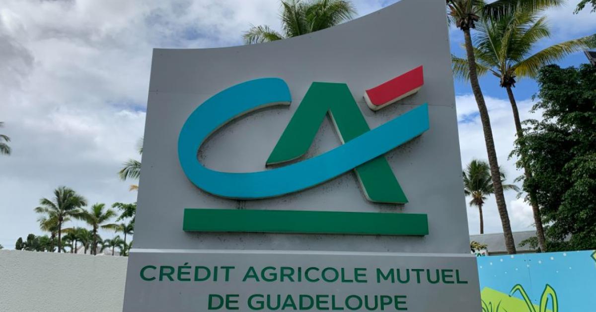     La mobilisation ne faiblit pas au Crédit Agricole Mutuel de Guadeloupe

