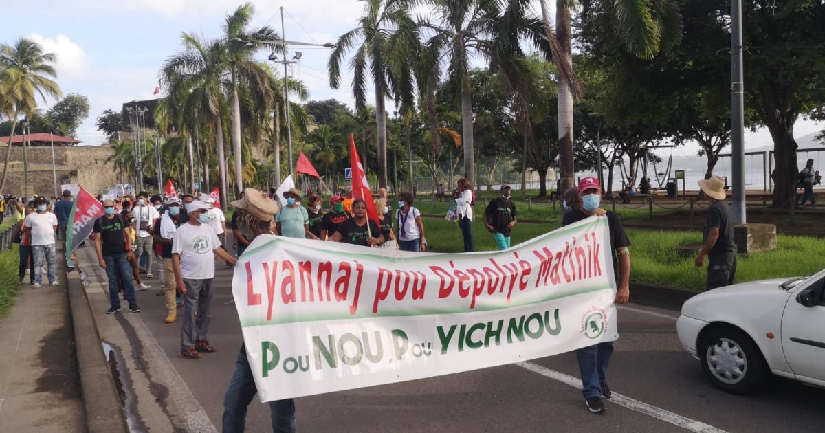     Un appel à manifester pour demander justice et réparation dans le dossier du chlordécone

