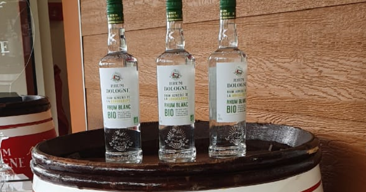     Bologne lance officiellement son rhum bio 

