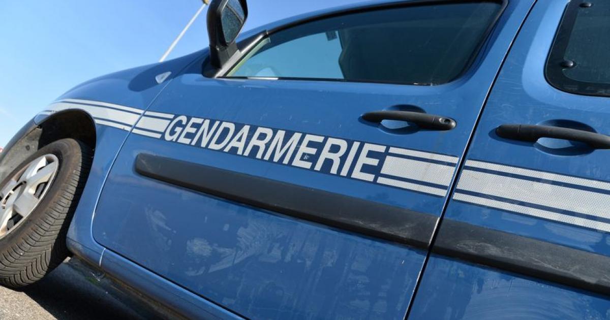     Braquage à Sainte-Rose : le second suspect interpellé 

