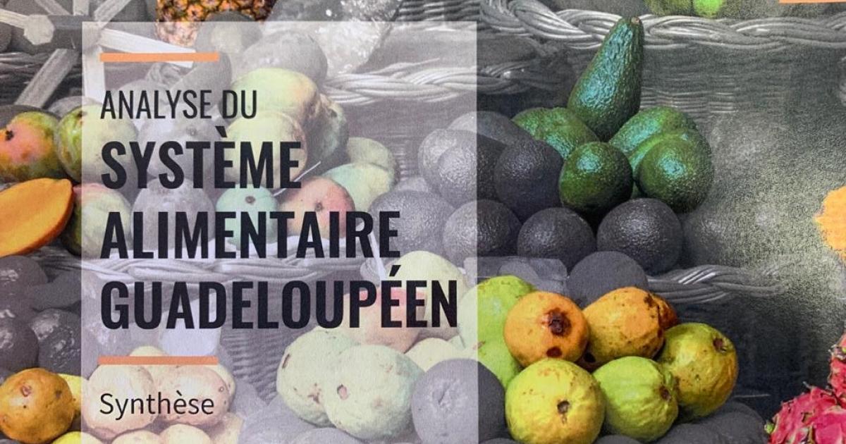     Un rapport sur le système alimentaire Guadeloupéen

