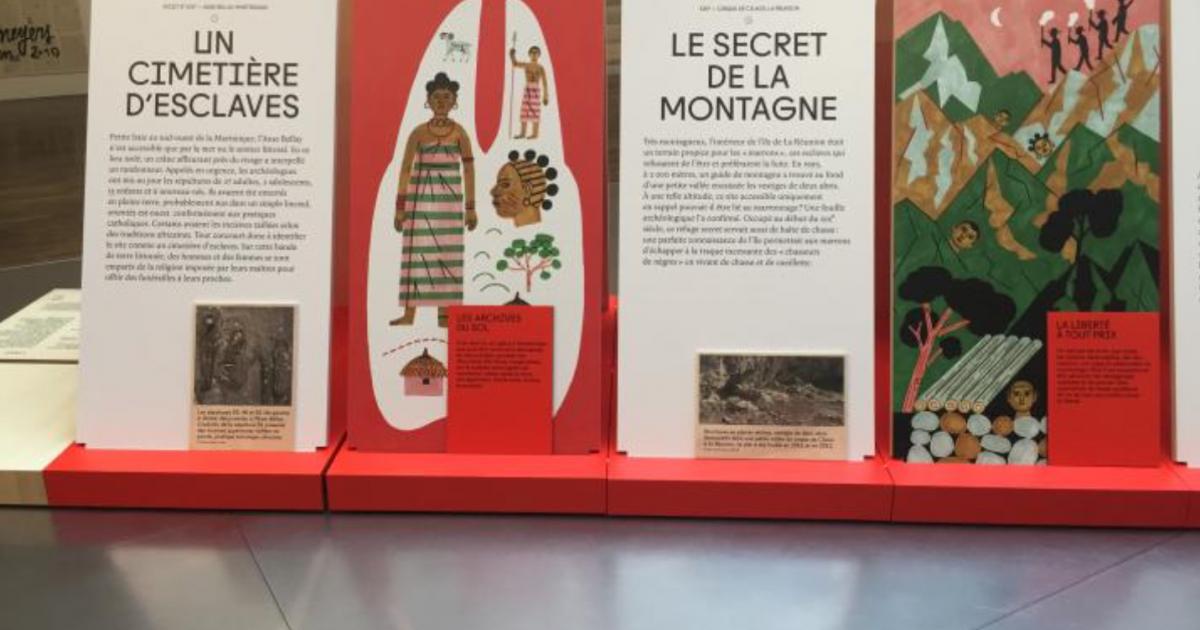     L'archéologie pour faire connaître davantage l'histoire de l'esclavage colonial

