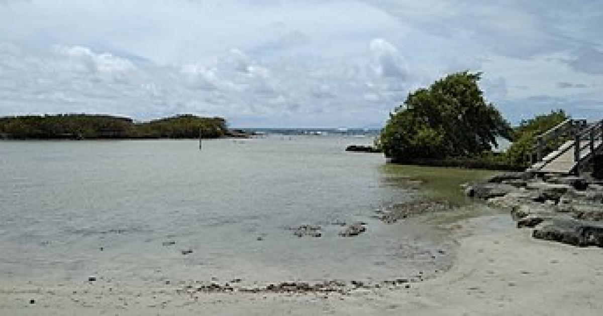     Une vingtaine de bœufs secourus dans la vase aux Salines ! 

