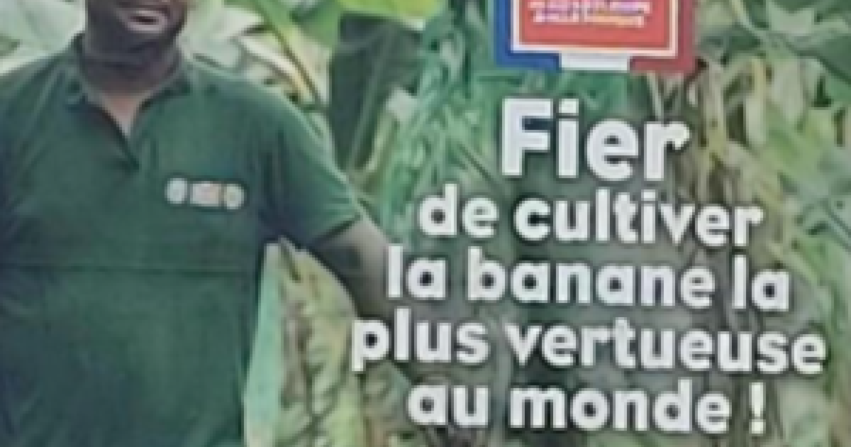     Campagne sur la banane : enquête pour "pratique commerciale trompeuse"

