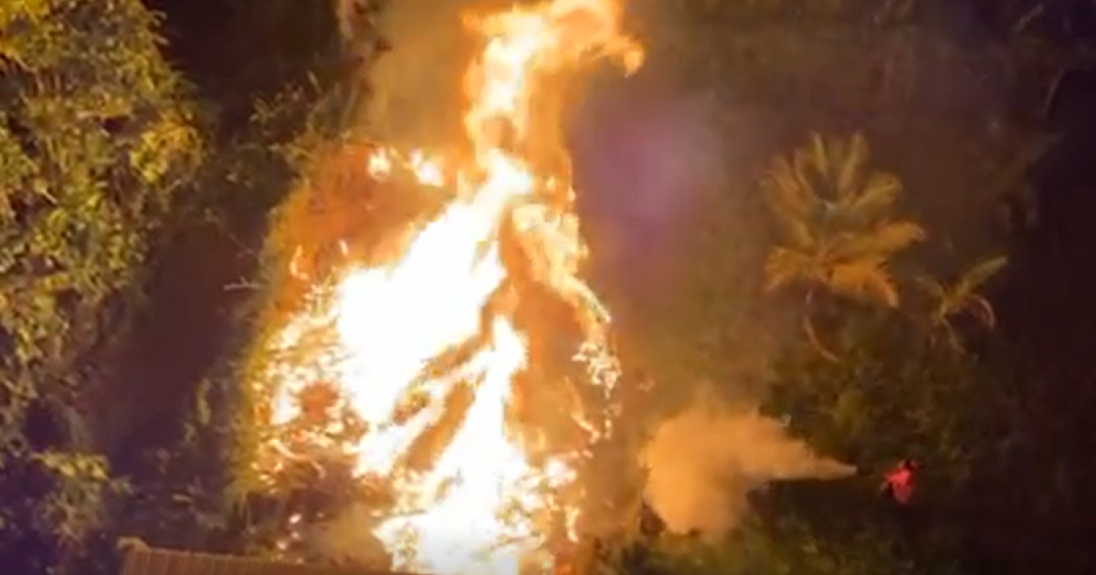     Un feu de broussaille aux abords de l'hôtel Valmenière

