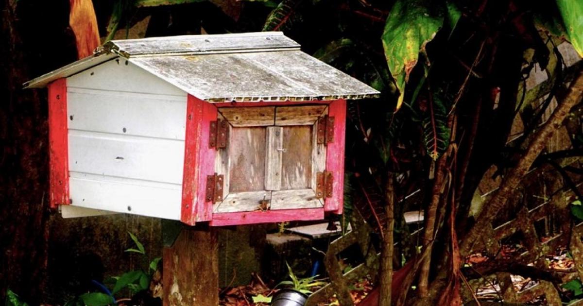     Un livre rend hommage en images et poésies aux boîtes aux lettres de Guadeloupe

