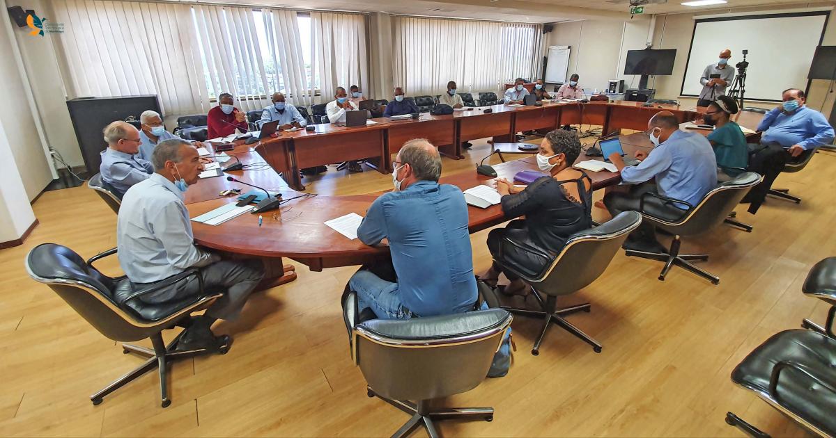     Défense de l'octroi de mer : la CTM et les chefs d'entreprises affichent un front uni

