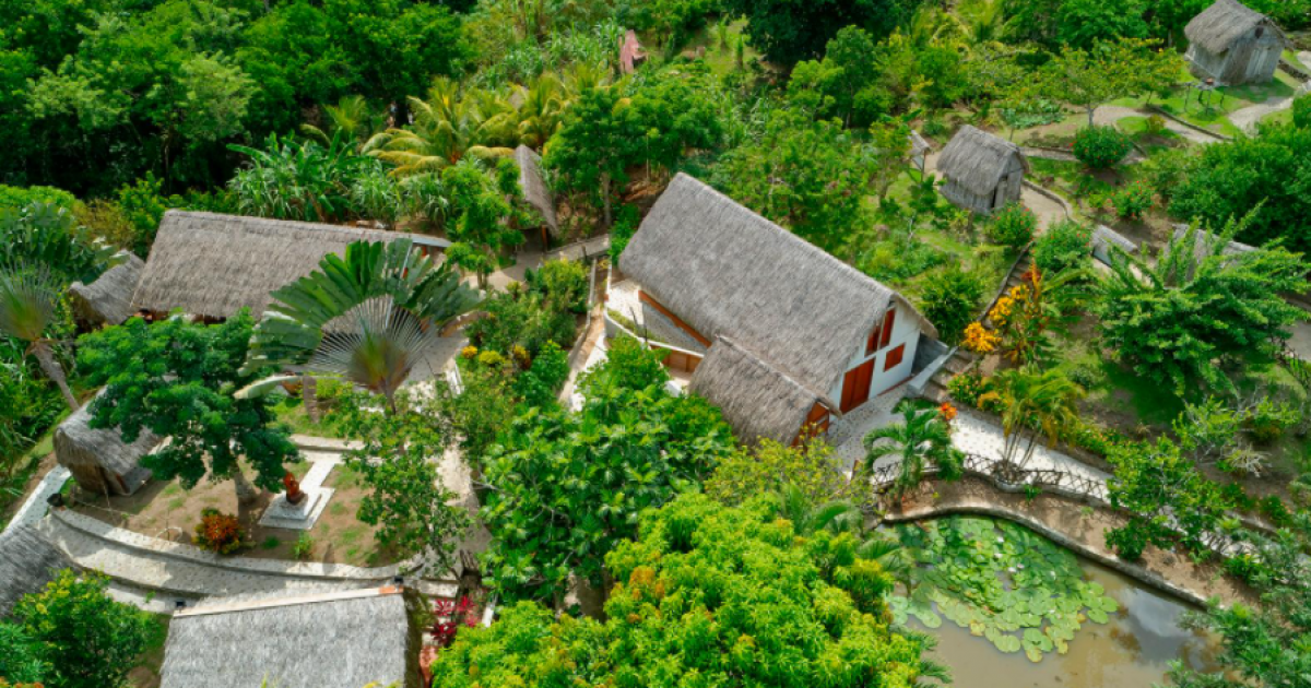     La Savane des esclaves organise de nouveaux évènements tous les week-ends

