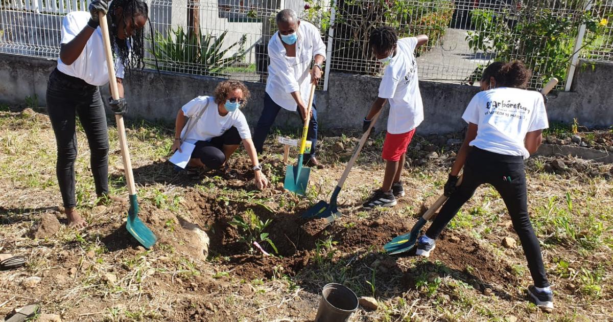     Une centaine d'arbres plantés au Collège Joseph Pitat 

