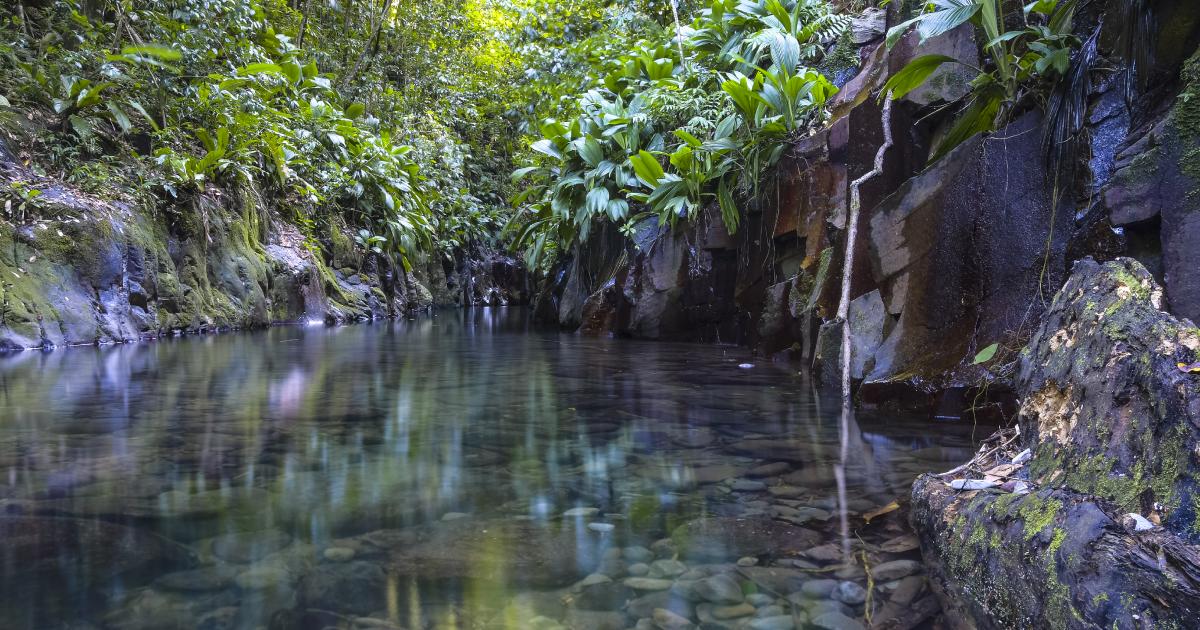     Quatre personnes coincées par la montée des eaux à Petit-Bourg

