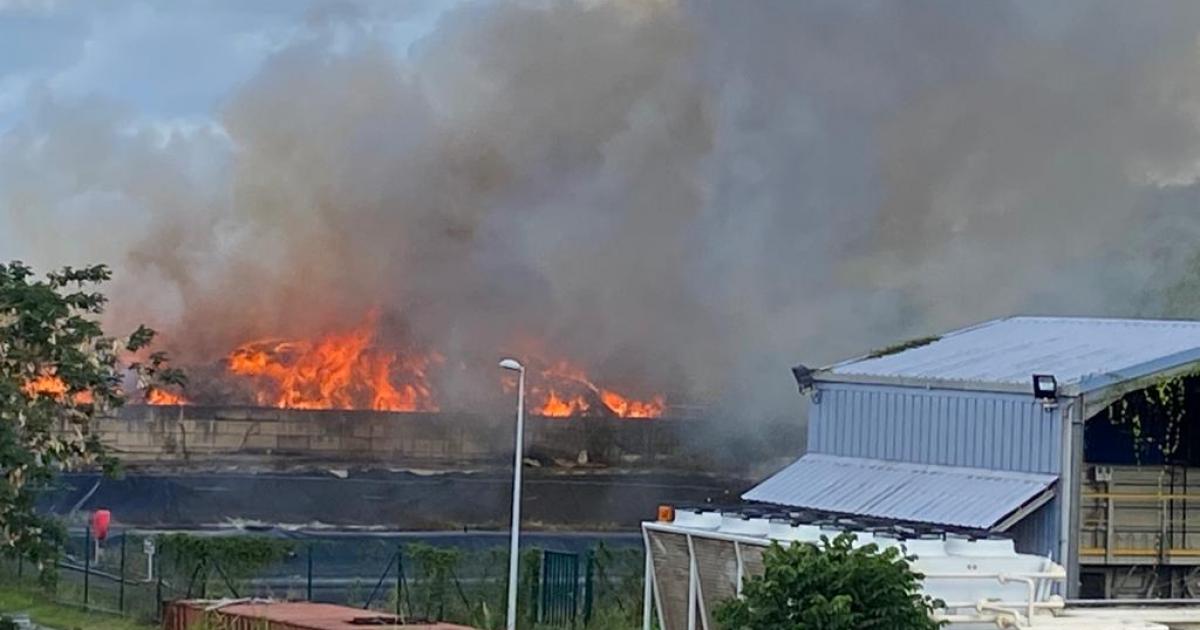     [VIDEO] Incendie important à la déchetterie de la Trompeuse à Fort-de-France

