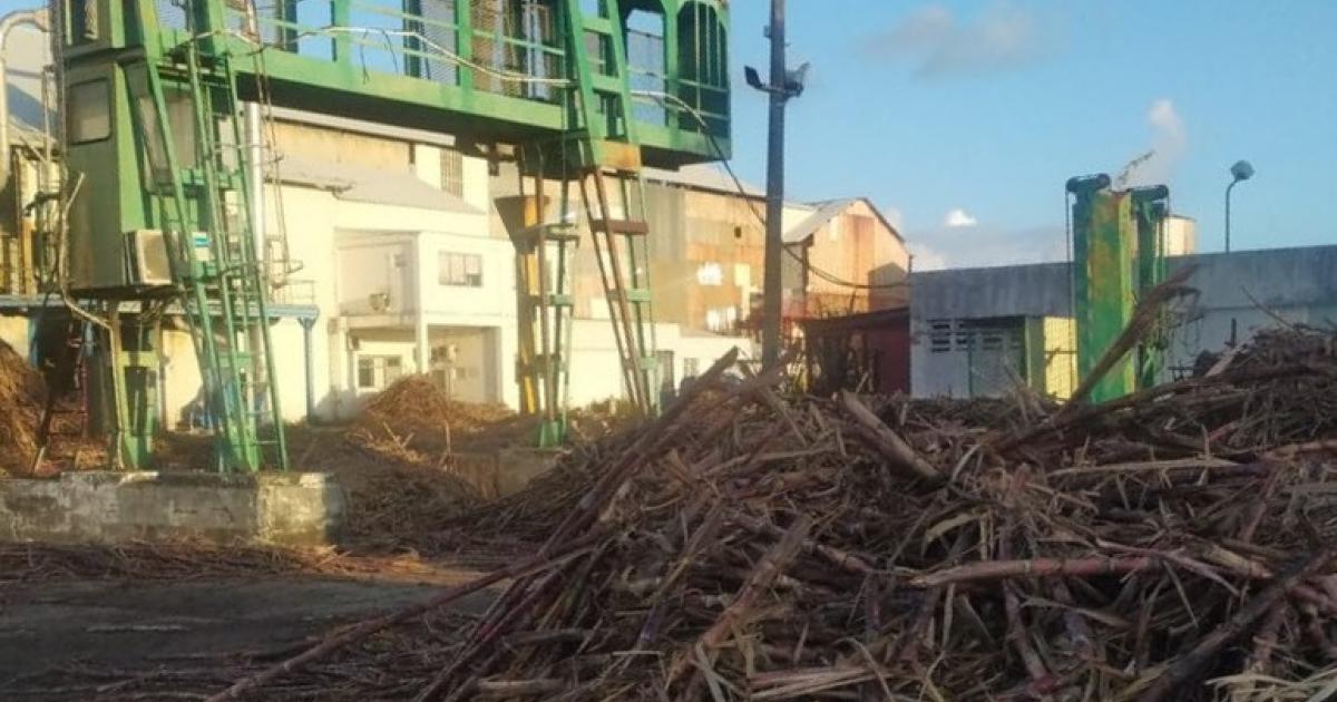     Forte mobilisation à Marie-Galante contre le transfert des cannes

