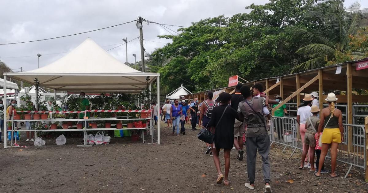     Le festival de la production locale bat son plein à Rivière-Pilote

