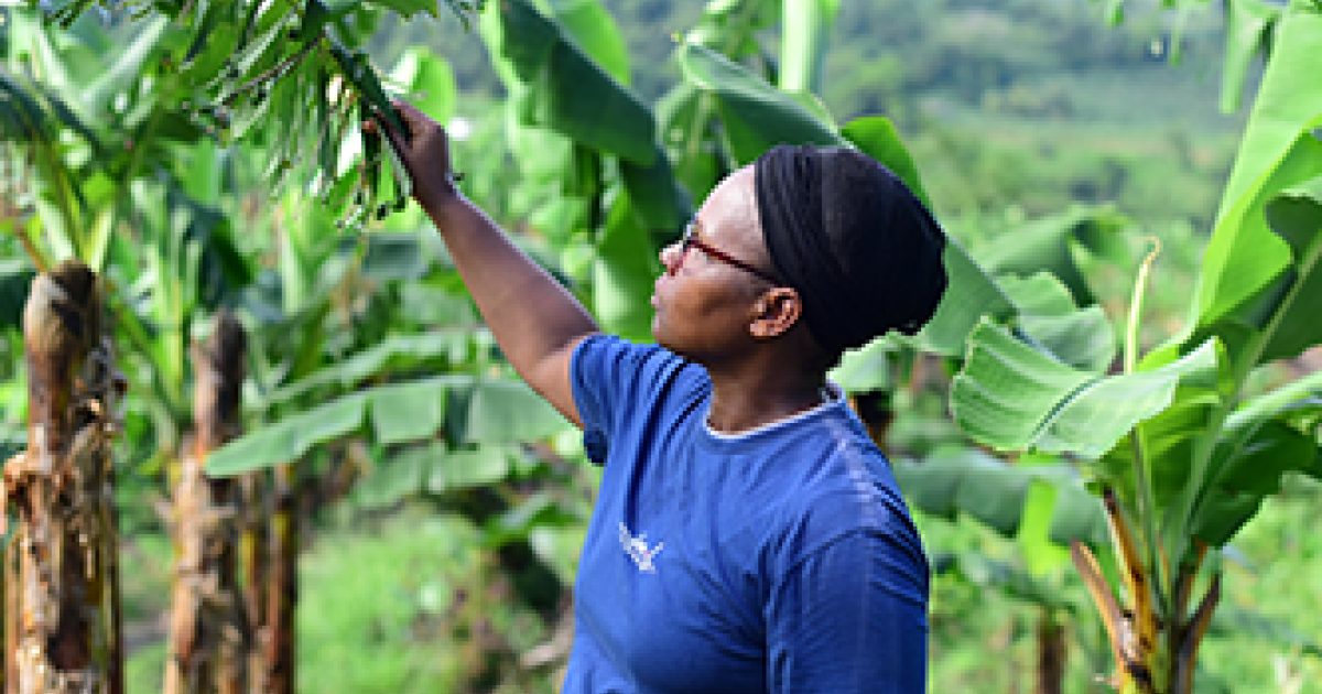     ​​​​​​​Bon bilan pour la caravane de l’emploi de Banamart

