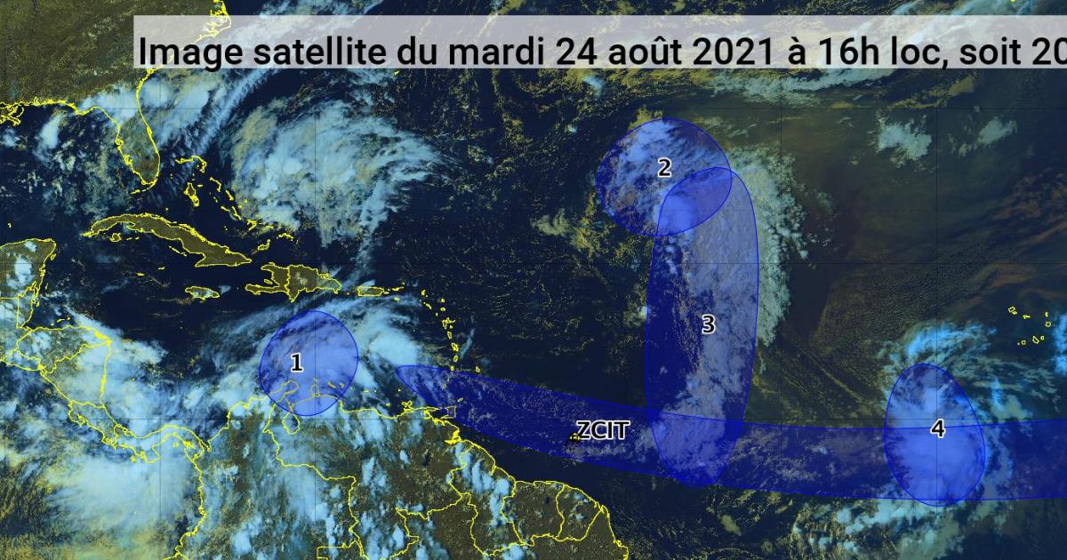     Situation plutôt calme dans la zone cette semaine (bulletin du 24/08/21)

