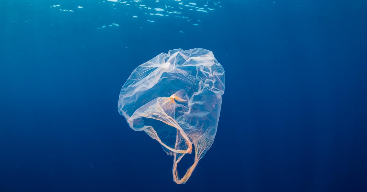     Pollution au plastique : quel est l'état de la mer en Martinique ?

