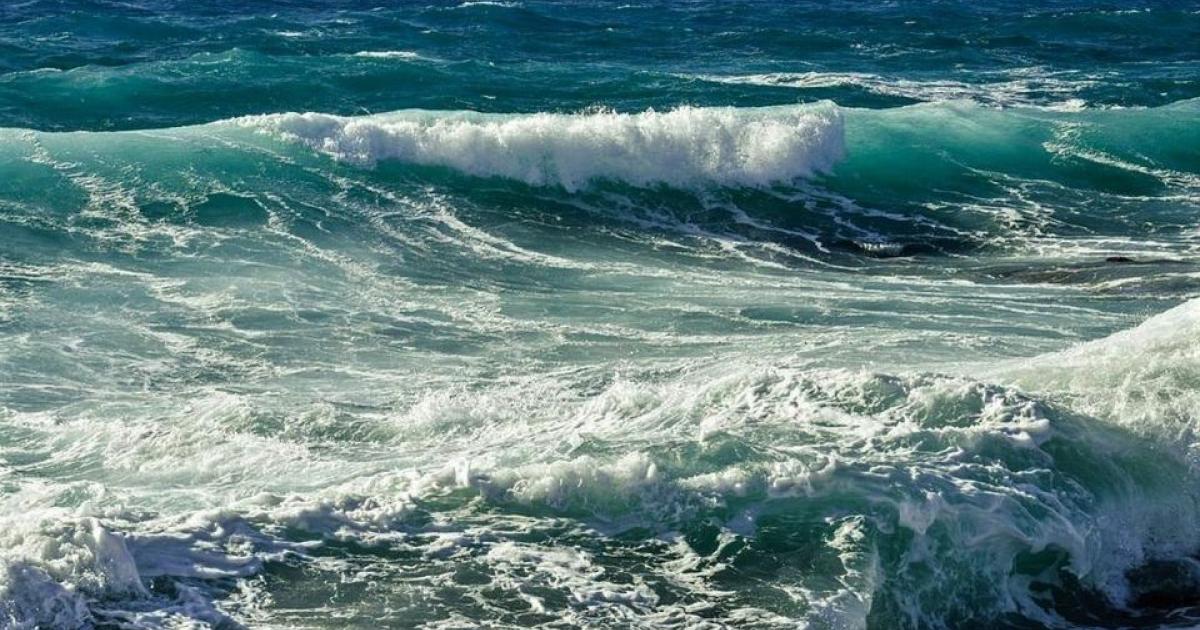     Météo France maintient la Martinique en vigilance jaune pour "vagues-submersion"

