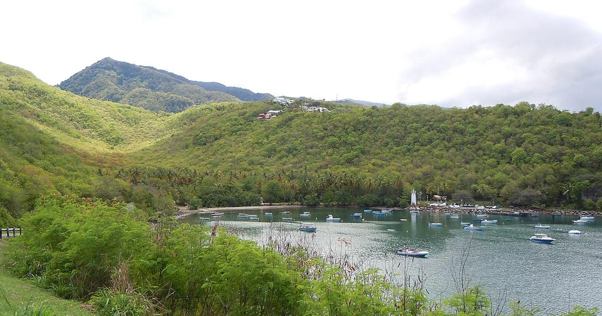     La traque de l'Anse à la Barque

